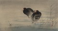 Dos gallinules en aguas poco profundas Ohara Koson Shin hanga